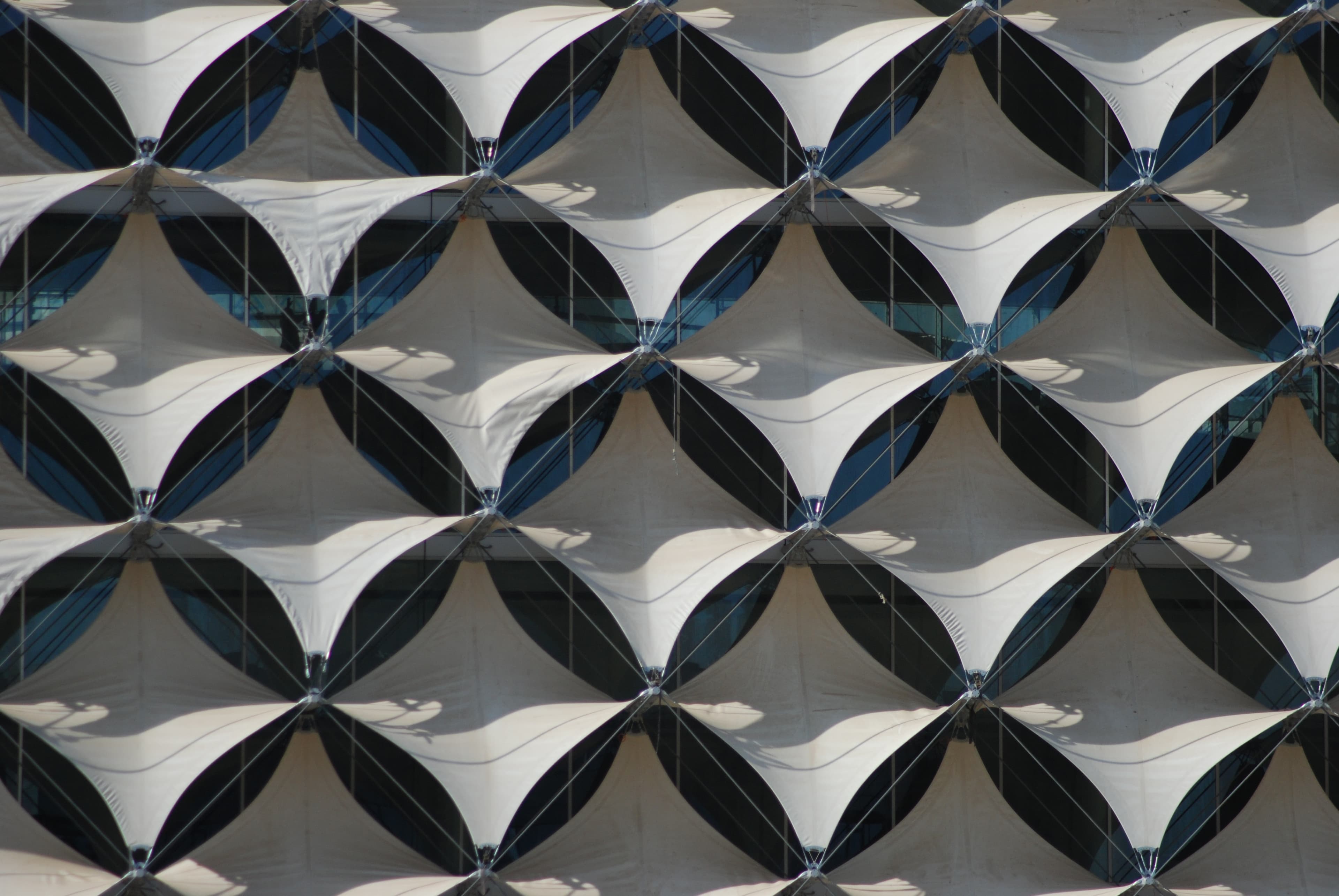 King Fahad Library